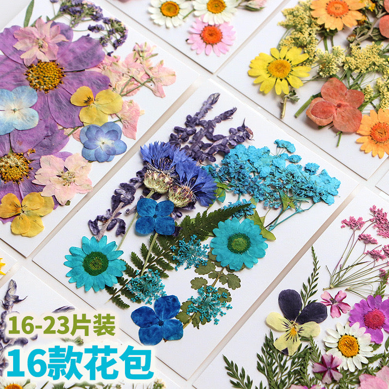 Dried Pressed Flower