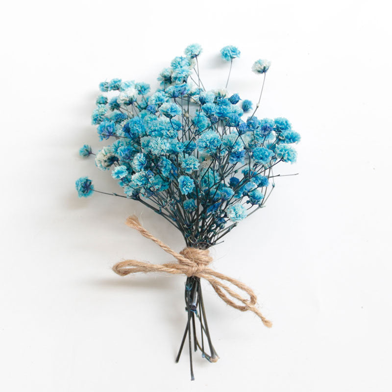 Baby's breath Dried Flowers
