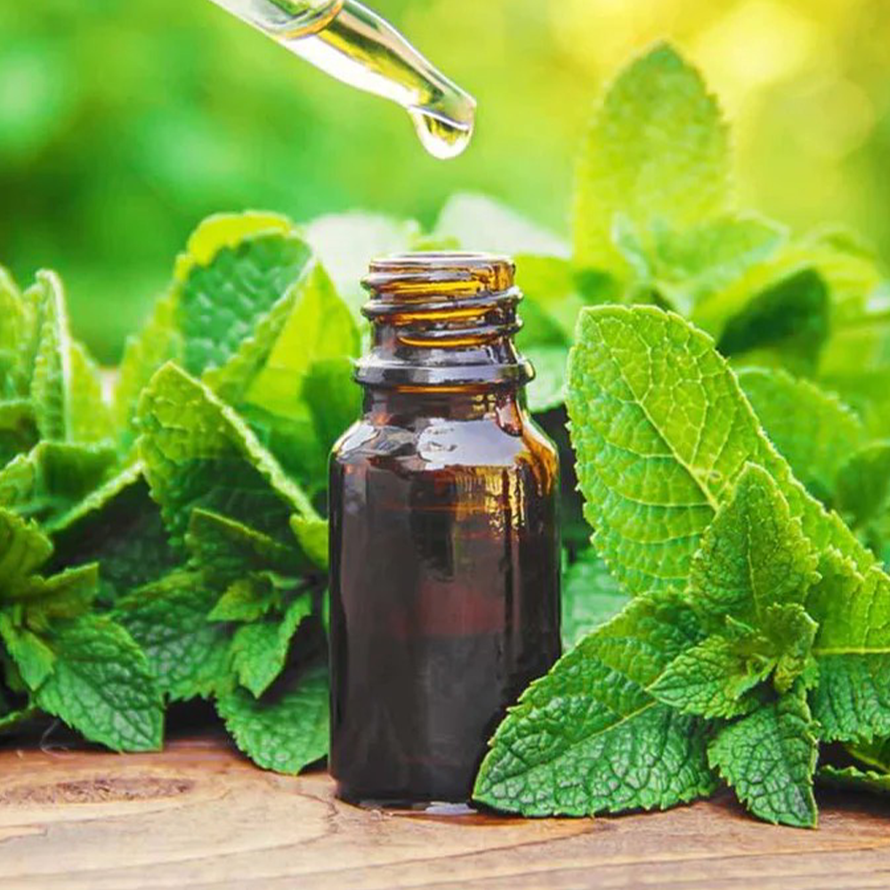 Fragrance Oils