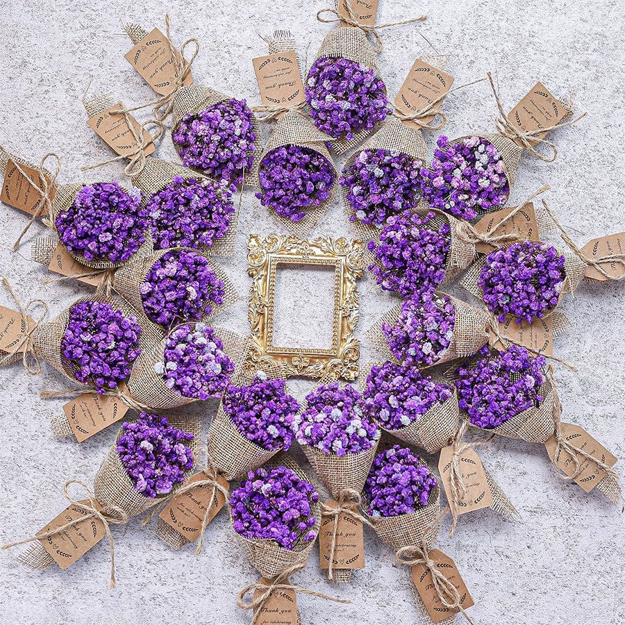 Magnet clip Baby's breath Dried Flowers