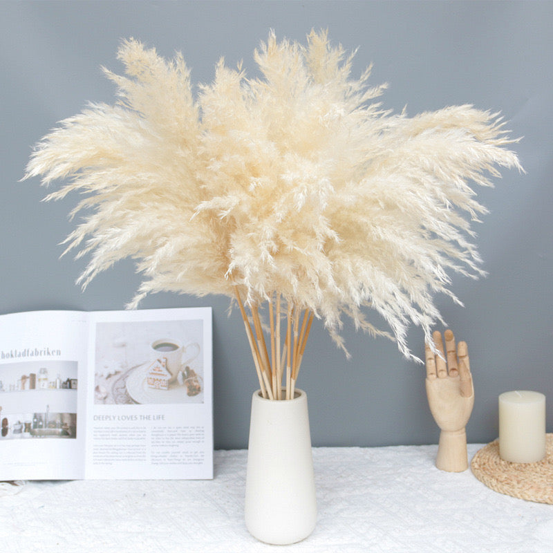 80cm Fluffy Pampas Grass