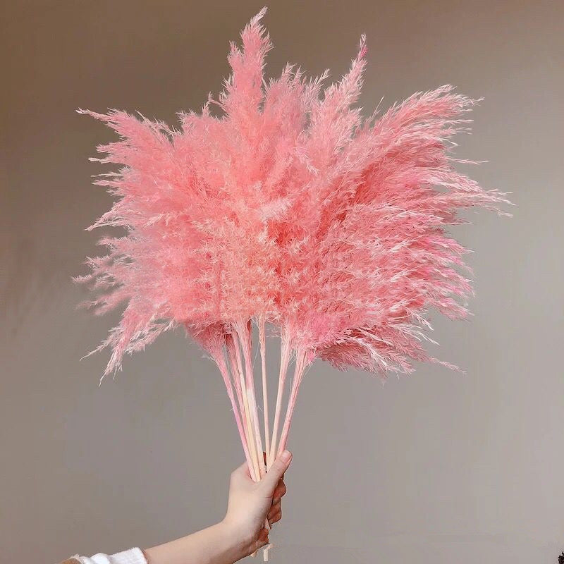 80cm Fluffy Pampas Grass