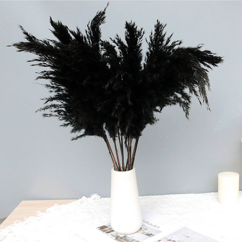 80cm Fluffy Pampas Grass