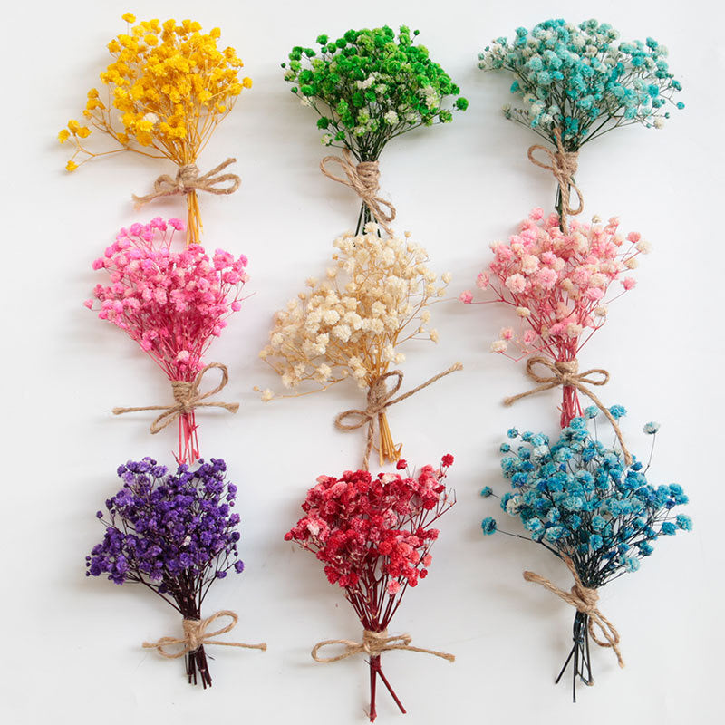 Baby's breath Dried Flowers