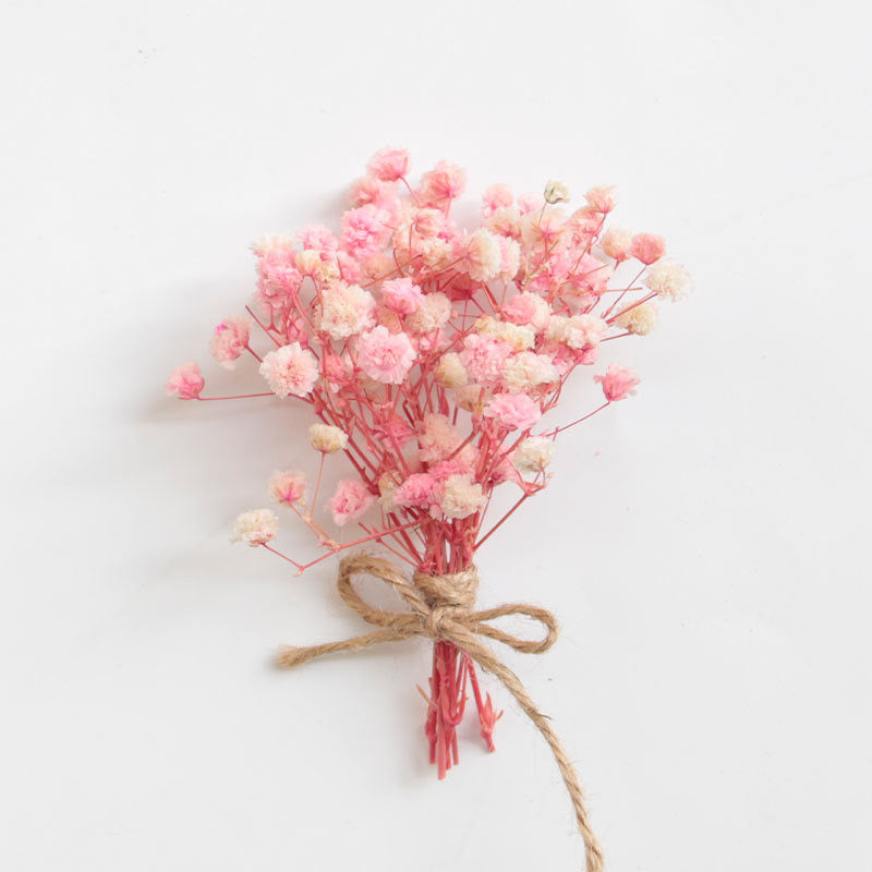 Baby's breath Dried Flowers