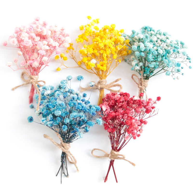 Baby's breath Dried Flowers