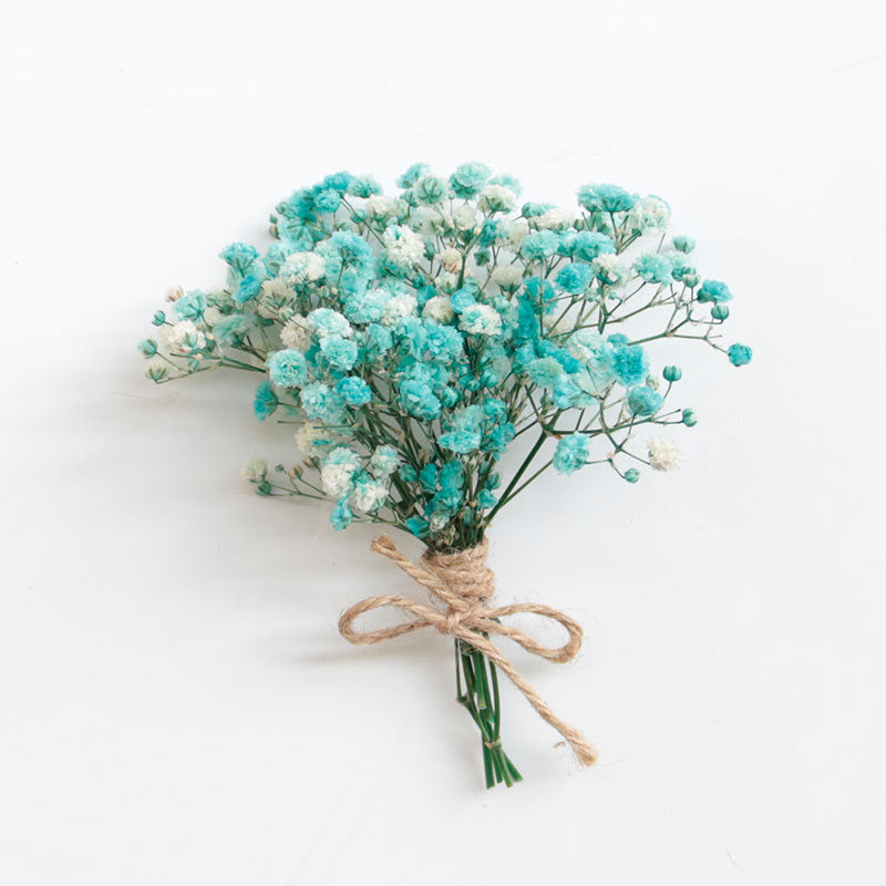 Baby's breath Dried Flowers
