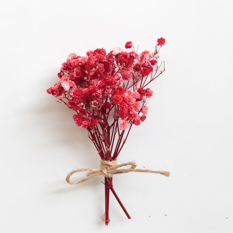 Baby's breath Dried Flowers