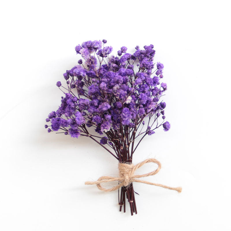 Baby's breath Dried Flowers