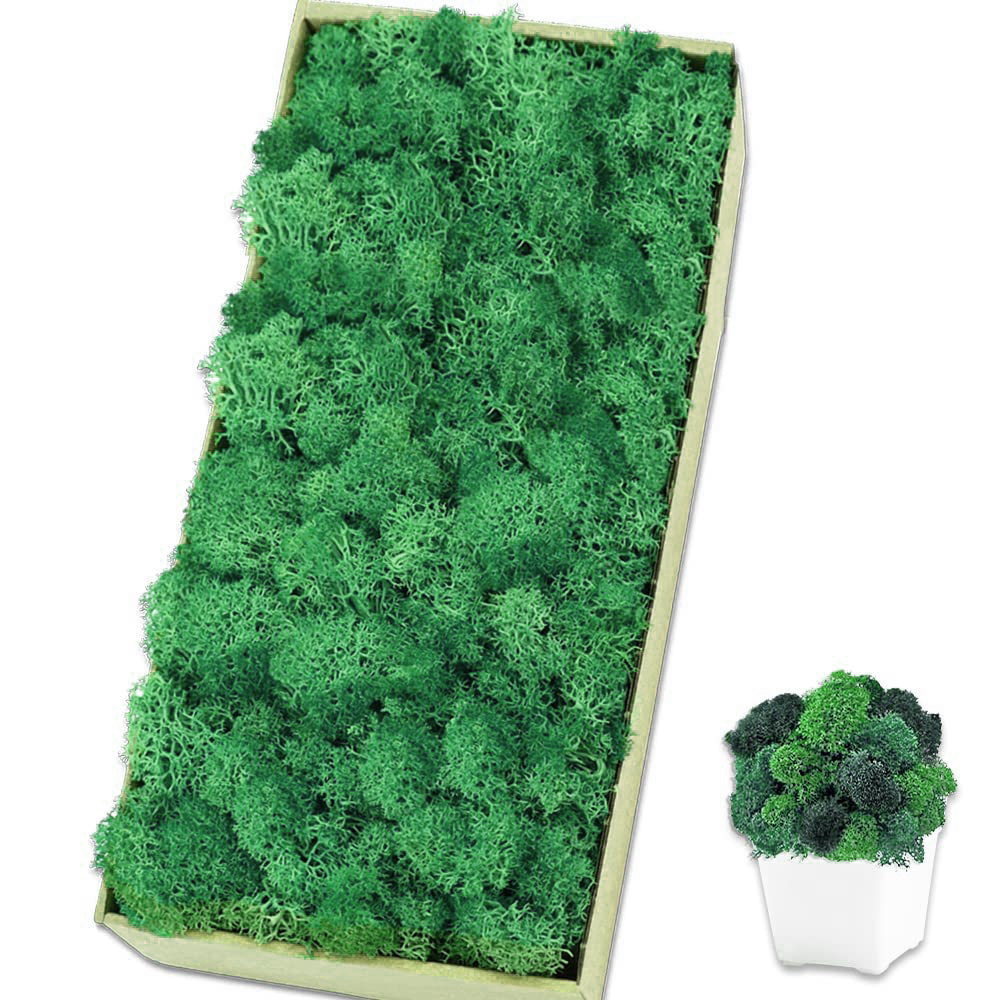 10g Artificial Moss