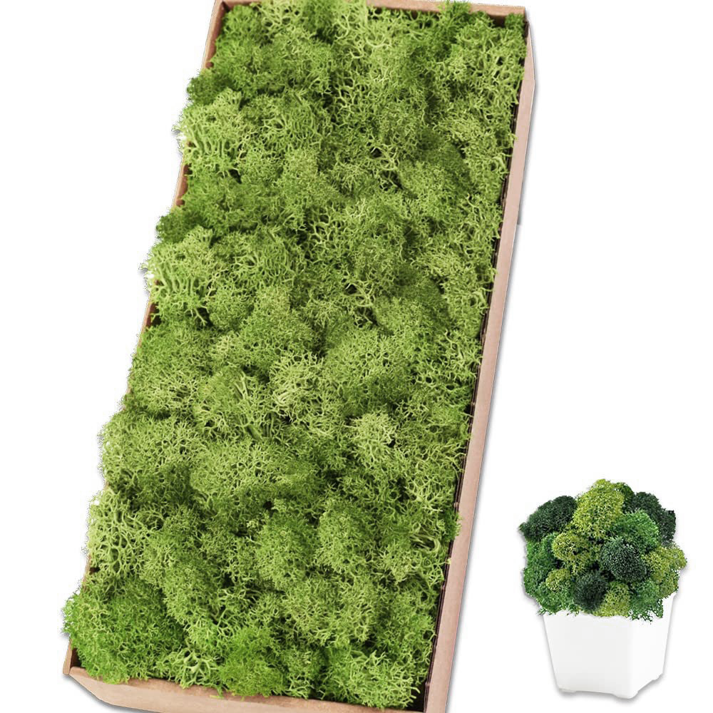 10g Artificial Moss