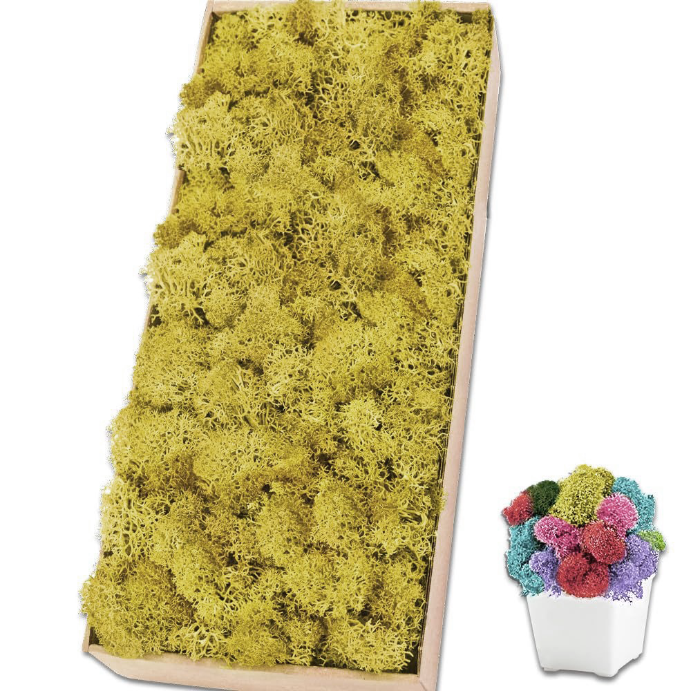 10g Artificial Moss