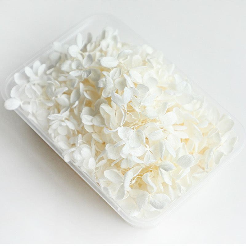 5g Preserved flower
