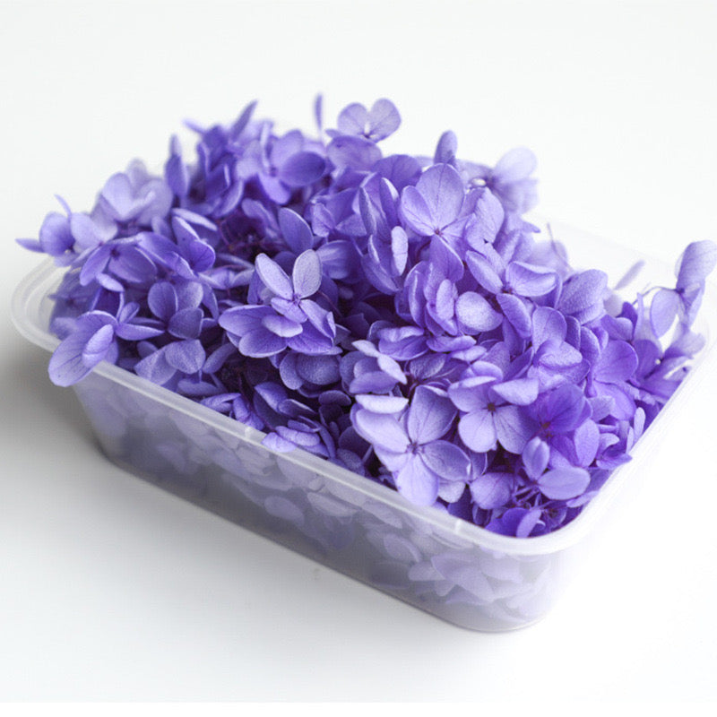 5g Preserved flower