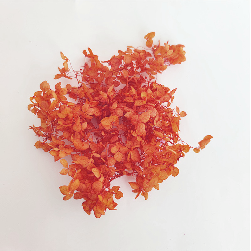 5g Preserved flower