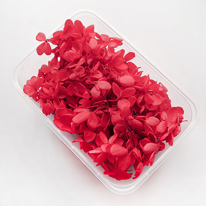 5g Preserved flower