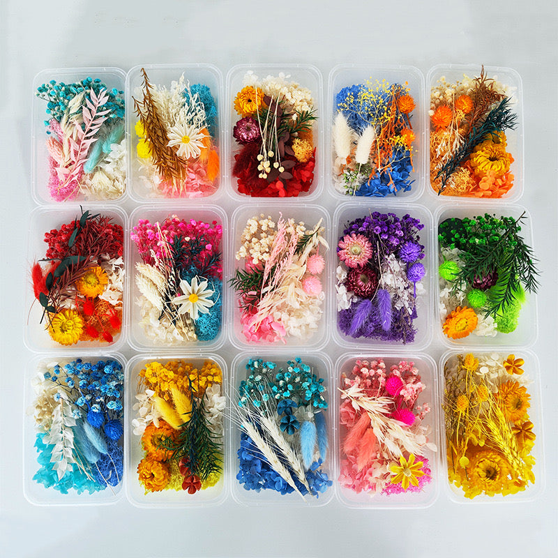 Dried Flowers