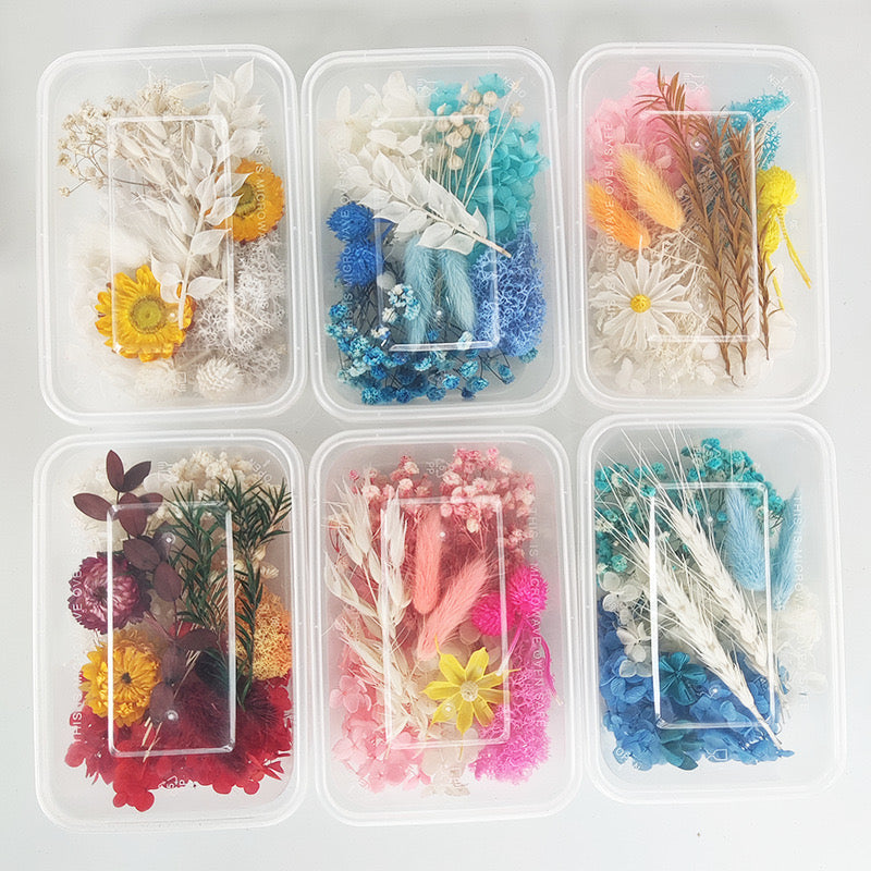 Dried Flowers