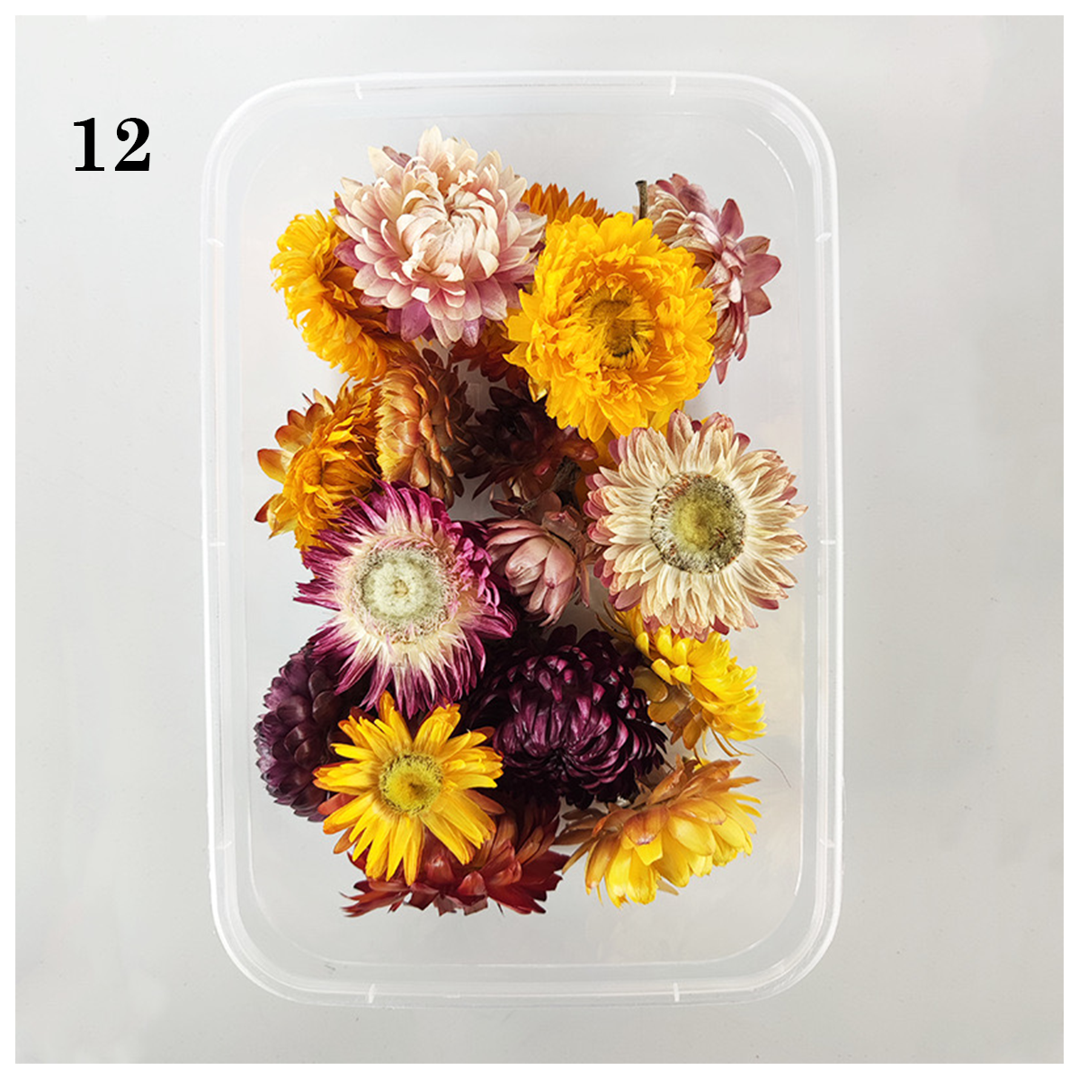 Dried Flowers