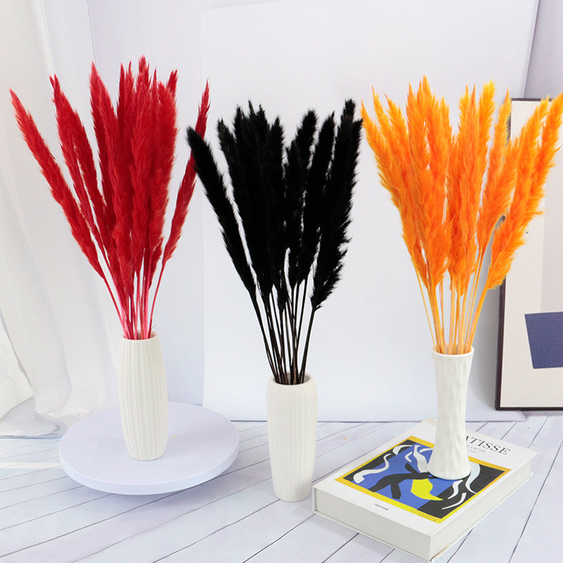 60cm Pampas Grass