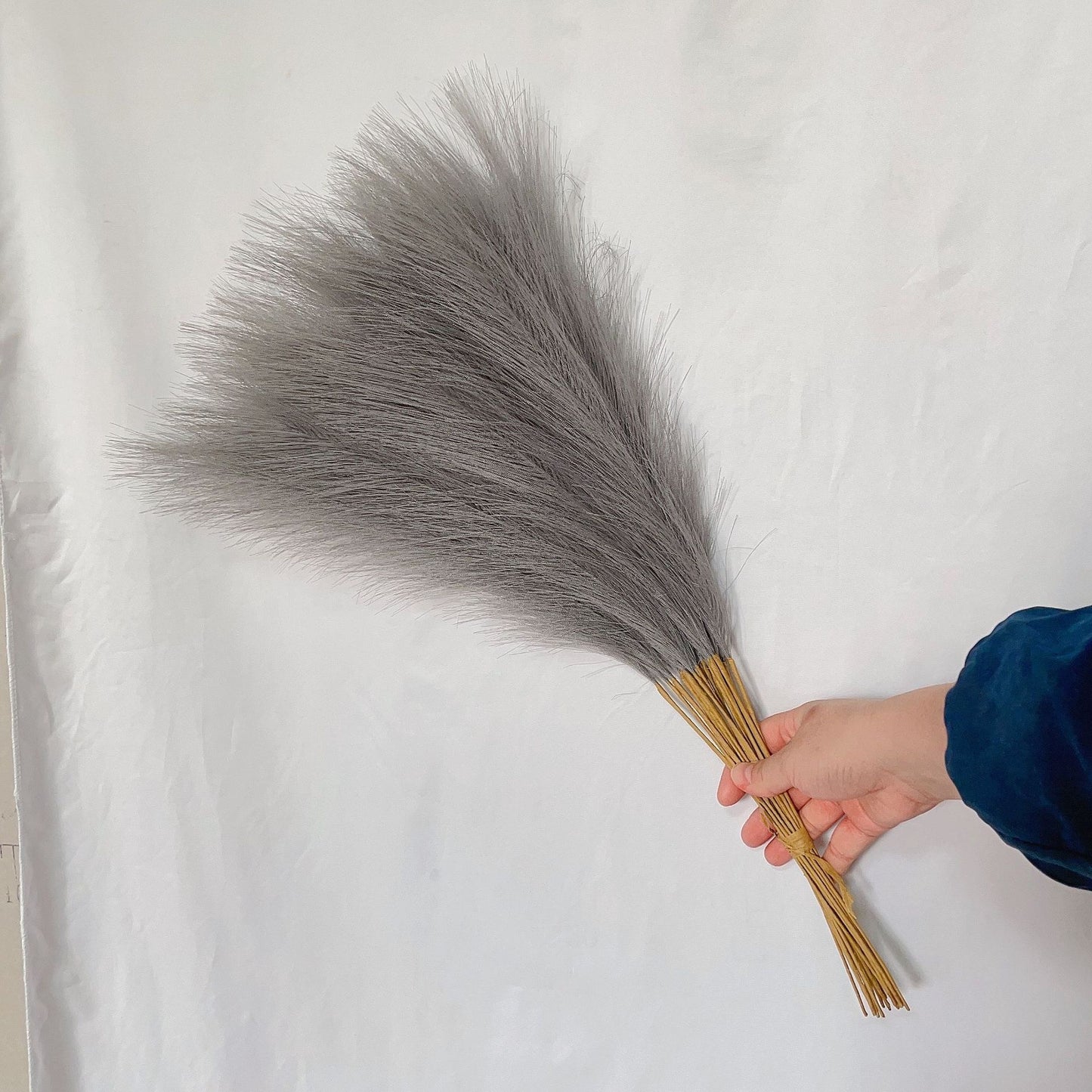 55cm Pampas Grass