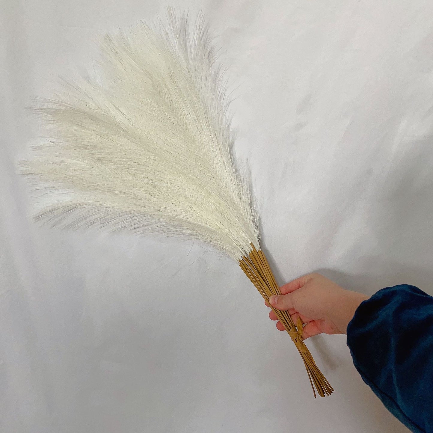 55cm Pampas Grass