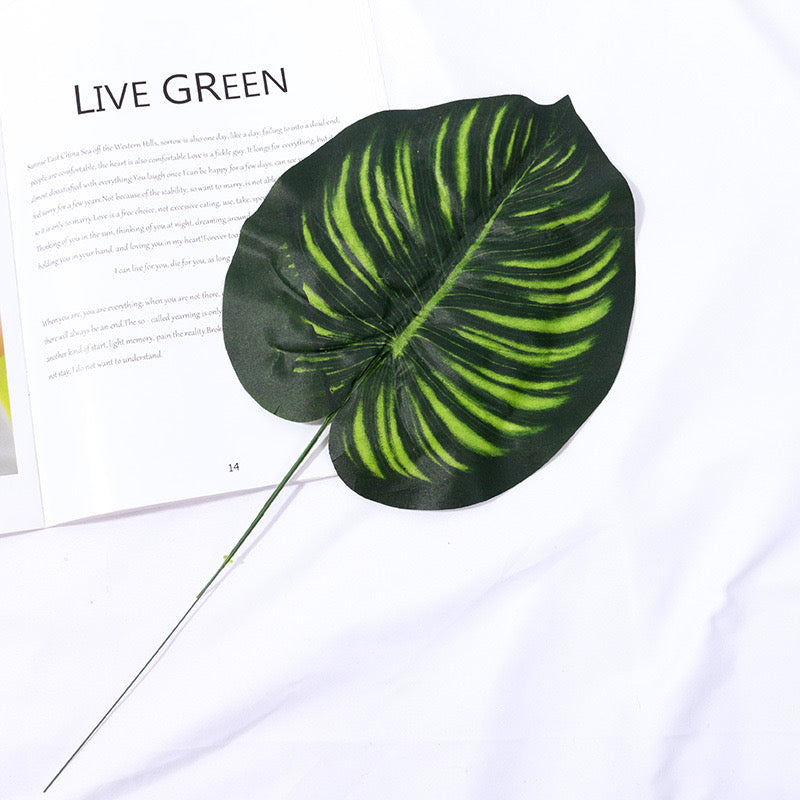Leaves Photography Props