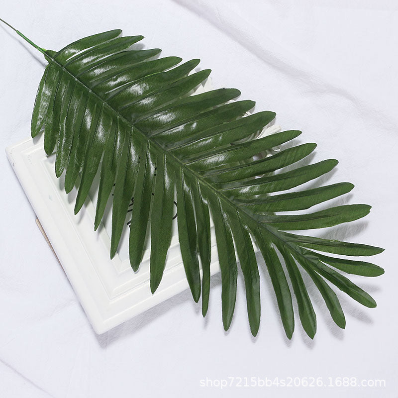 Leaves Photography Props