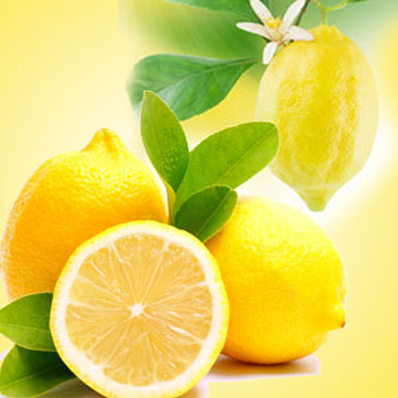 Fragrance Oils