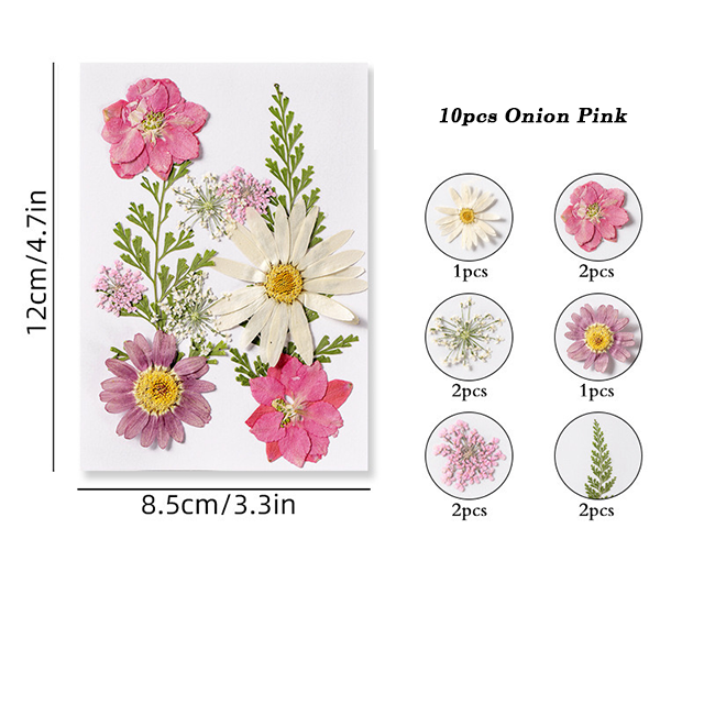Dried Pressed Flower