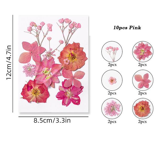 Dried Pressed Flower