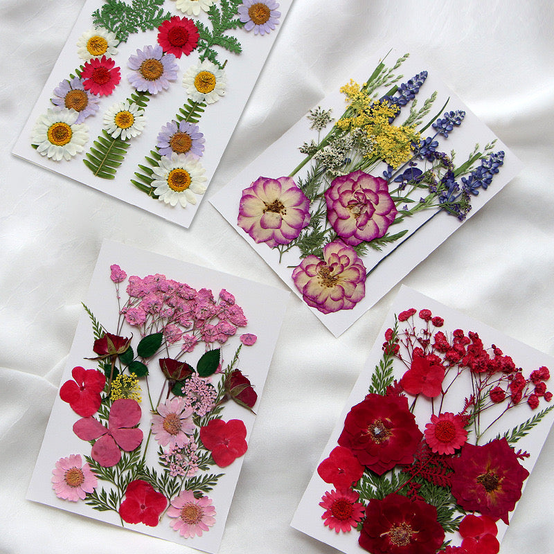 Dried Pressed Flower