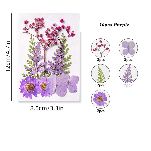Dried Pressed Flower