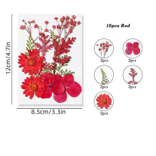 Dried Pressed Flower