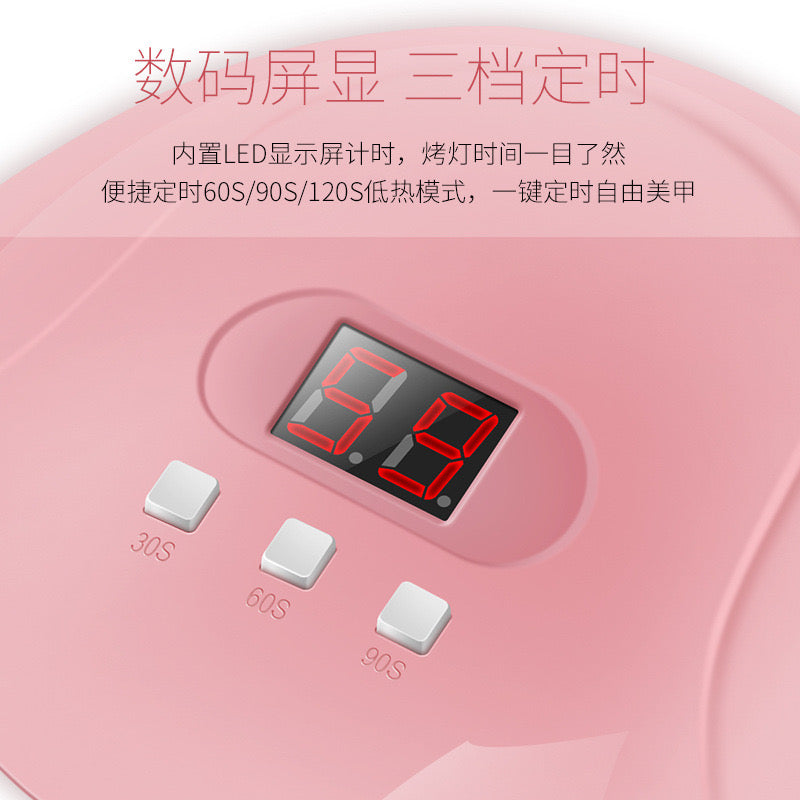 UV LED Lamp