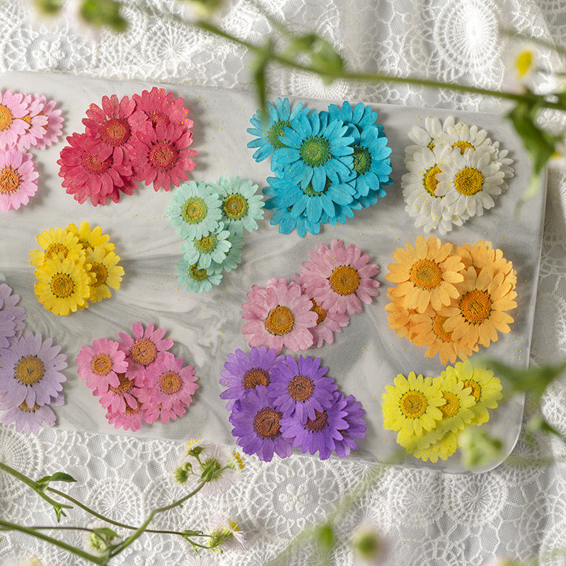Natural Pressed Flower