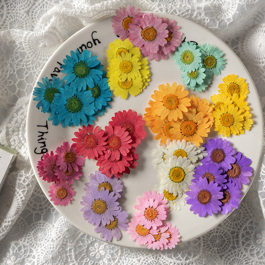 Natural Pressed Flower