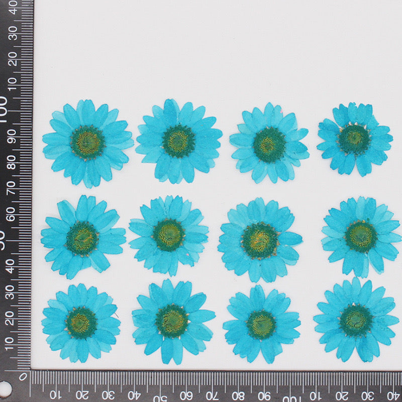 Natural Pressed Flower
