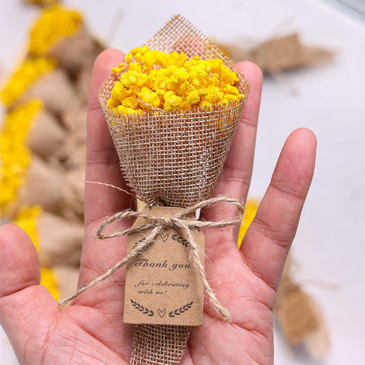 Magnet clip Baby's breath Dried Flowers