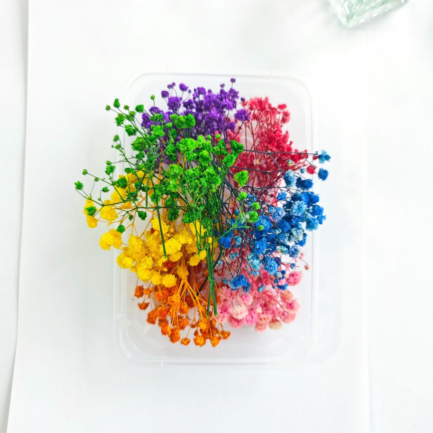 Baby's breath Dried Flowers