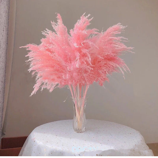 80cm Fluffy Pampas Grass