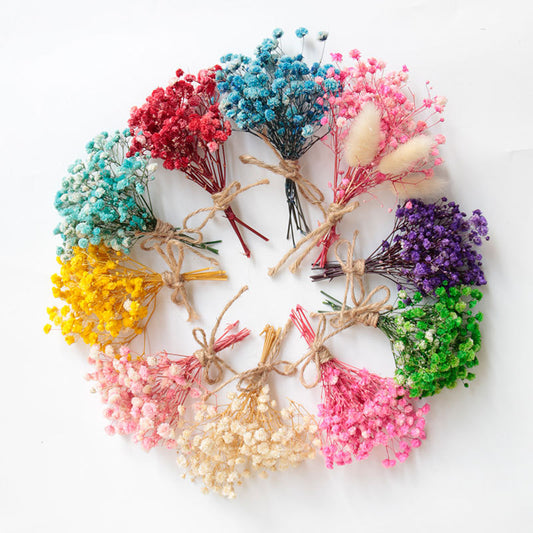 Baby's breath Dried Flowers