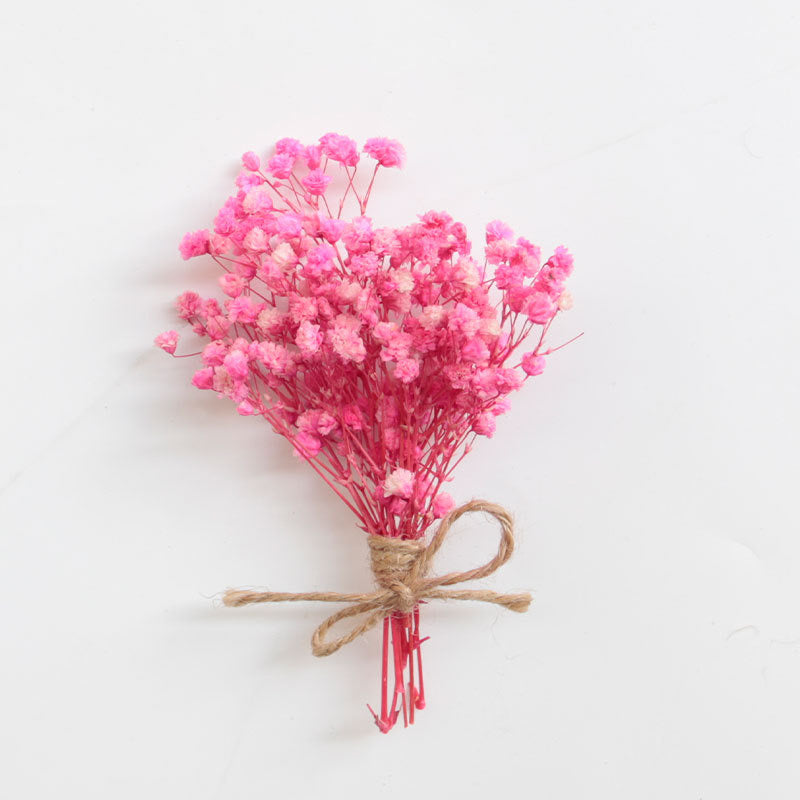 Baby's breath Dried Flowers
