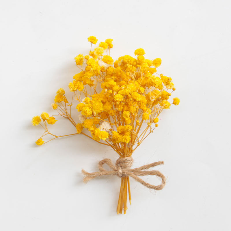 Baby's breath Dried Flowers