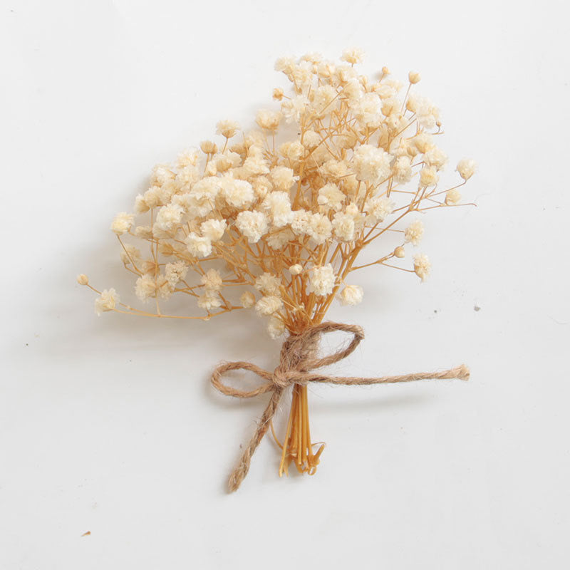 Baby's breath Dried Flowers