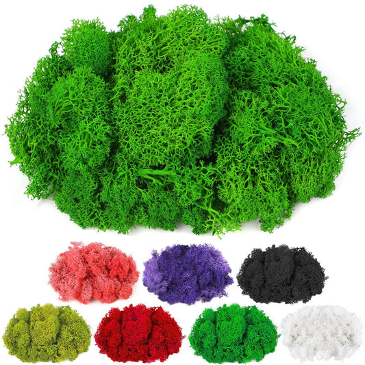 10g Artificial Moss