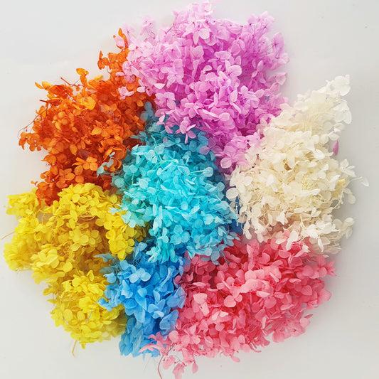 5g Preserved flower