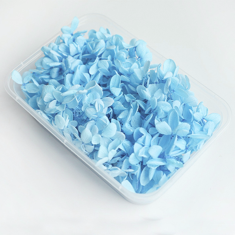 5g Preserved flower