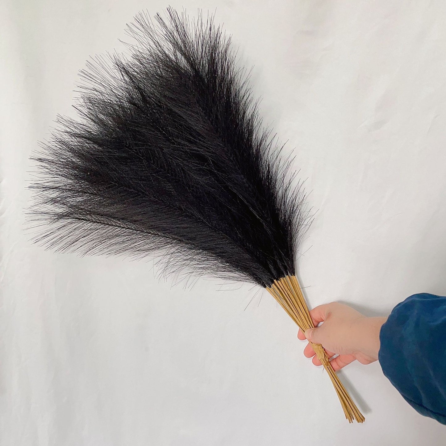 55cm Pampas Grass