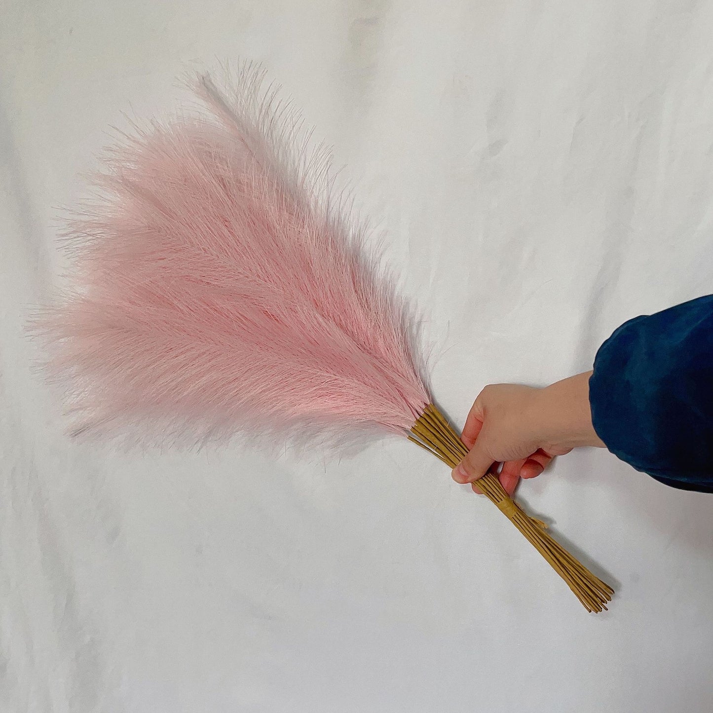 55cm Pampas Grass